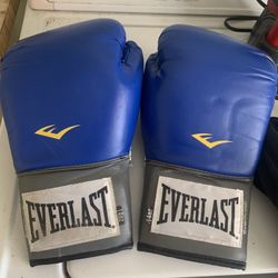 Everlast Boxing Gloves And Mittens 14 Oz Size Large