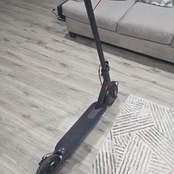 E Sport Scooter