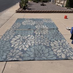 Indoor/Outdoor Rugs (8 x 10)