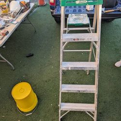 5 foot aluminum ladder