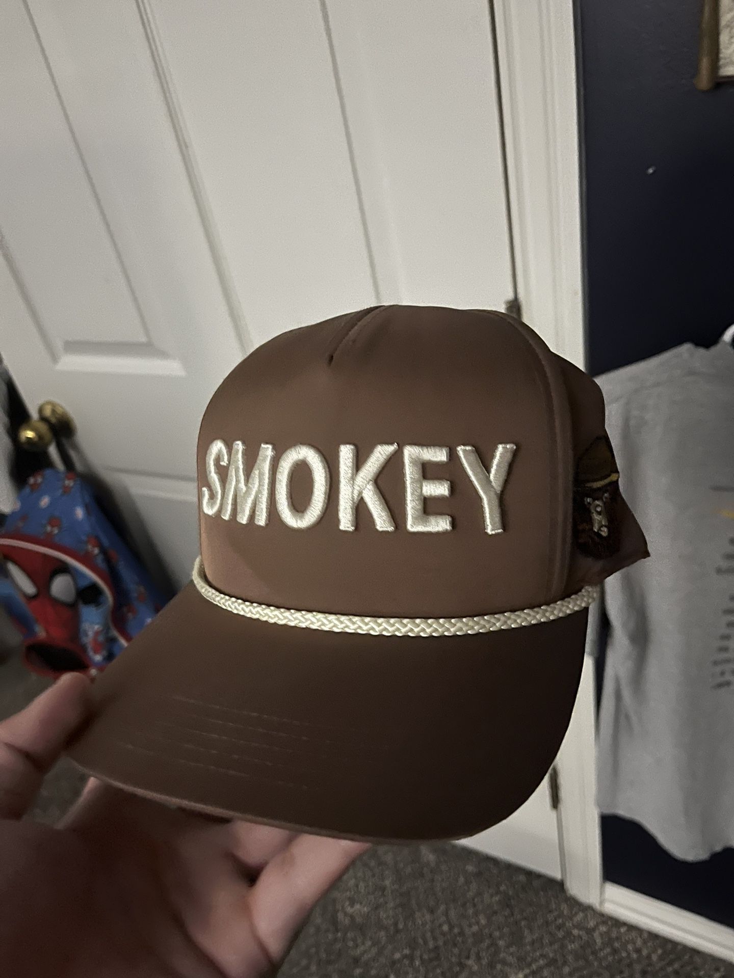 Smokey the bear hat