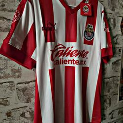 Chivas Guadalajara 115 Anniversary Puma Jersey