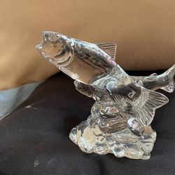 Wonders Of The wild Brand