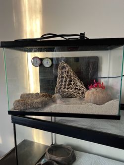 Hermit Crab habitat full set | Tank, heating pad, meal, etc