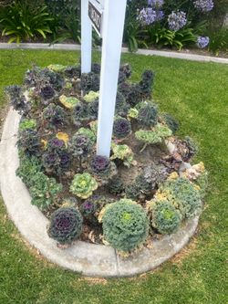 Se vende Ruta de Jardinería