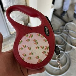 dog leash