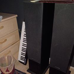 Surround Sound System With Sony Receiver