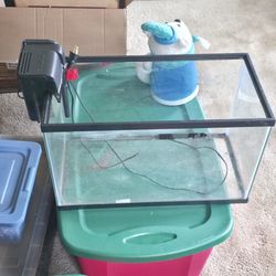 Small Fish Tank 
