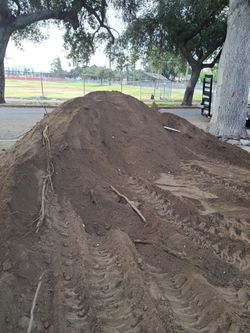 Dirt