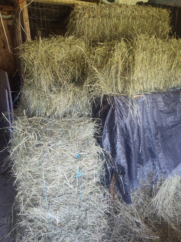 6 Bales Grass Hay