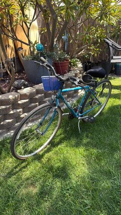 Univega bike
