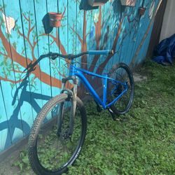 cannondale trail 5 2020