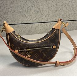Louis Vuitton Bag/purse