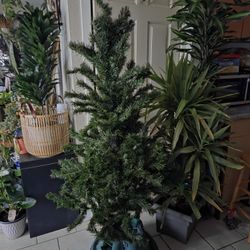 Beautiful Christmas Tree 🎄 