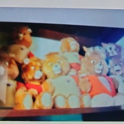 Antique Teddy Redskins The Original Ones Not The Small Ones The Large Ones They're $50 A Piece Unless You Buy More Than One Perfect