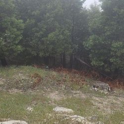 Lot land for sale rim forest ca 45k 6600 sqft 92378
Text or call the realtor
(contact info removed)

DRE# 0(contact info removed)
Excelente RE Real Es