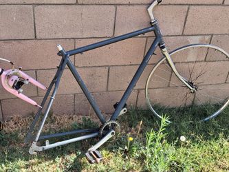 Schwinn 27"" project bike