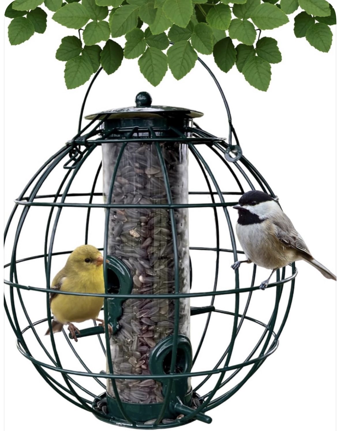 Petite Orb Caged Seed Feeder