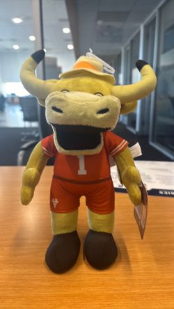 Texas longhorn mascot