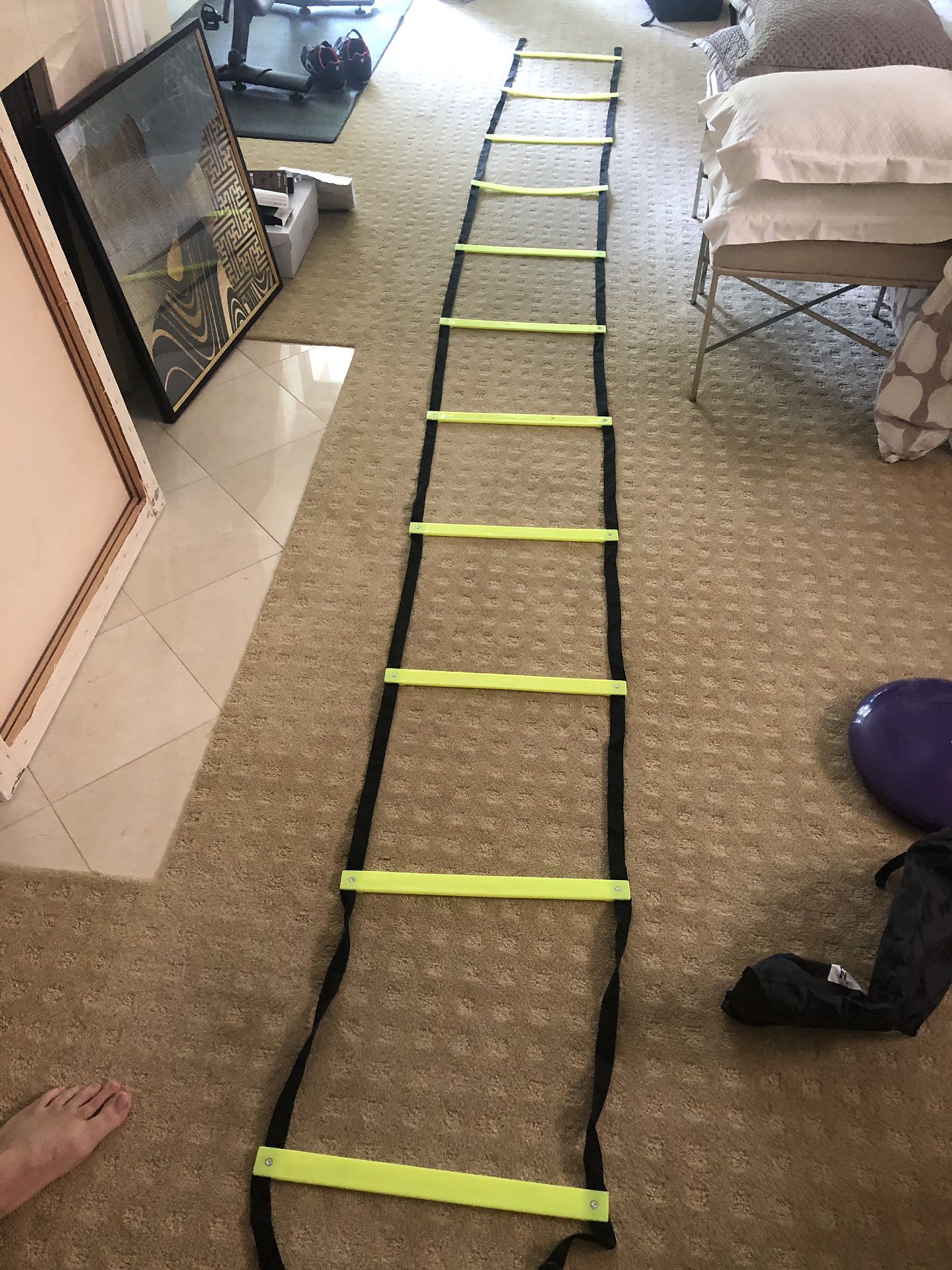 Cintz 15 Foot Agility Ladder