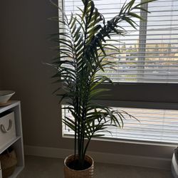 Faux Palm W/ Pot