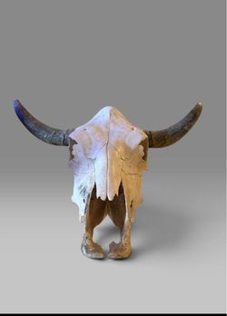 Cow Skull with Horns 25” Wide from tip to tip Rustic Western Charm
