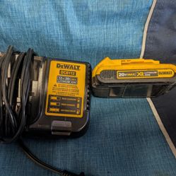 Dewalt Charger And Battery