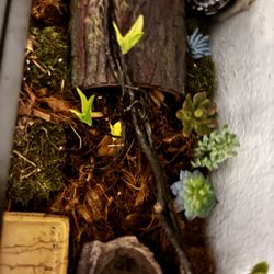 Tank Not Sure How Many Gallons It Is