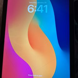 6th Gen iPad 
