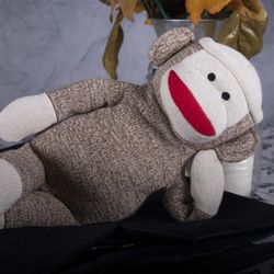 Sock Monkey Looking for Forever Home!