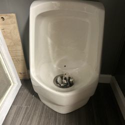 Waterless Urinal