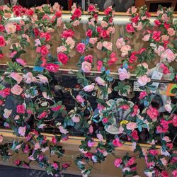 I Have 15 Of These 7 Ft Colorful Rose Vines