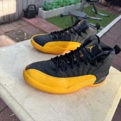 University Gold 12s 