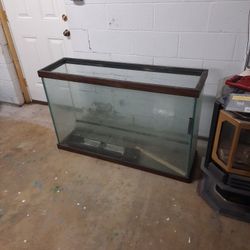 Fish Tank 80 Gallons 48 X 13 X 31 Inches 