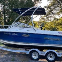 2002 Wellcraft 21' 8 Person Boat