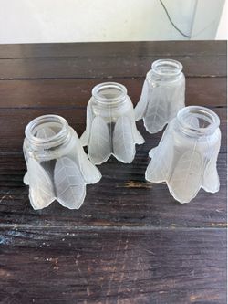 Set of 4 Frosted Glass Tulip Leaf Light Shades