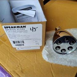 Speakman Icon S-2252 Anystream Showerhead In Chrome