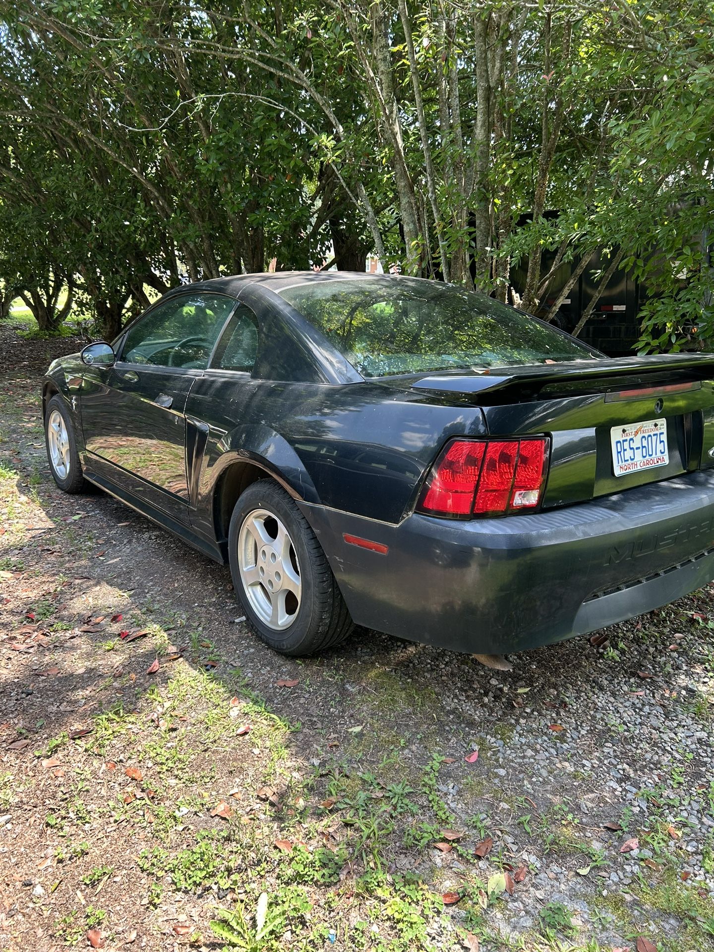 2003 Ford Mustang