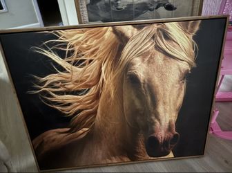 Horse Picture Frame