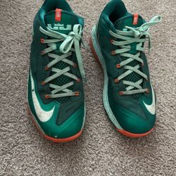 Nike LeBron Low Biscayne Men’s Sneakers