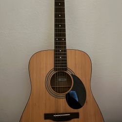 Jasmine Acoustic Guitar