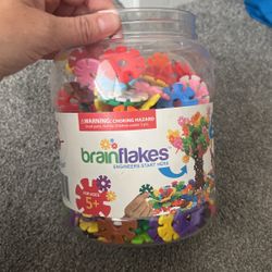 Brain Flakes Building STEM
