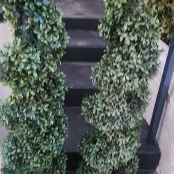 Set Of Faux Plant Trees