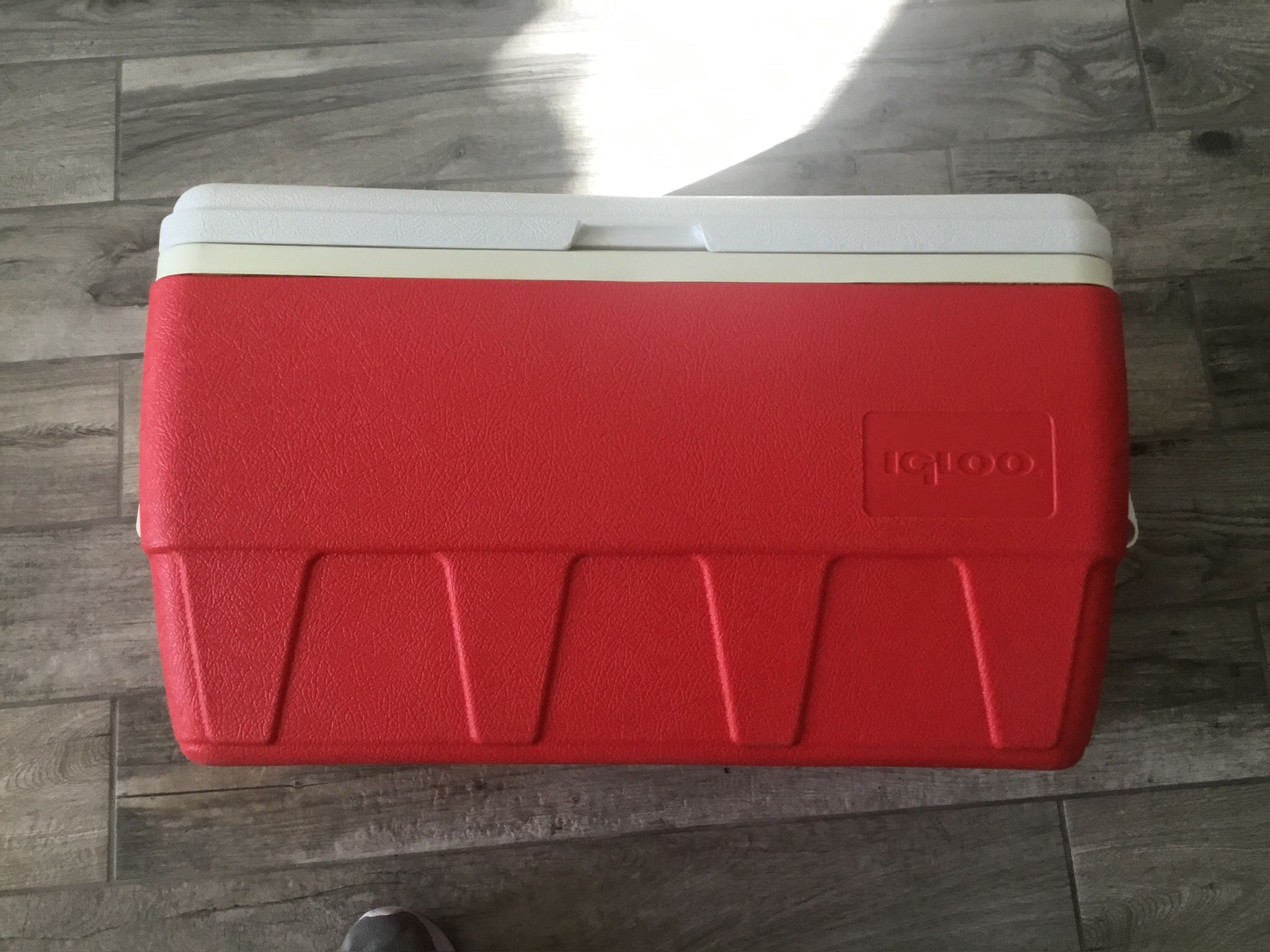 IGLOO 48 QUART COOLER