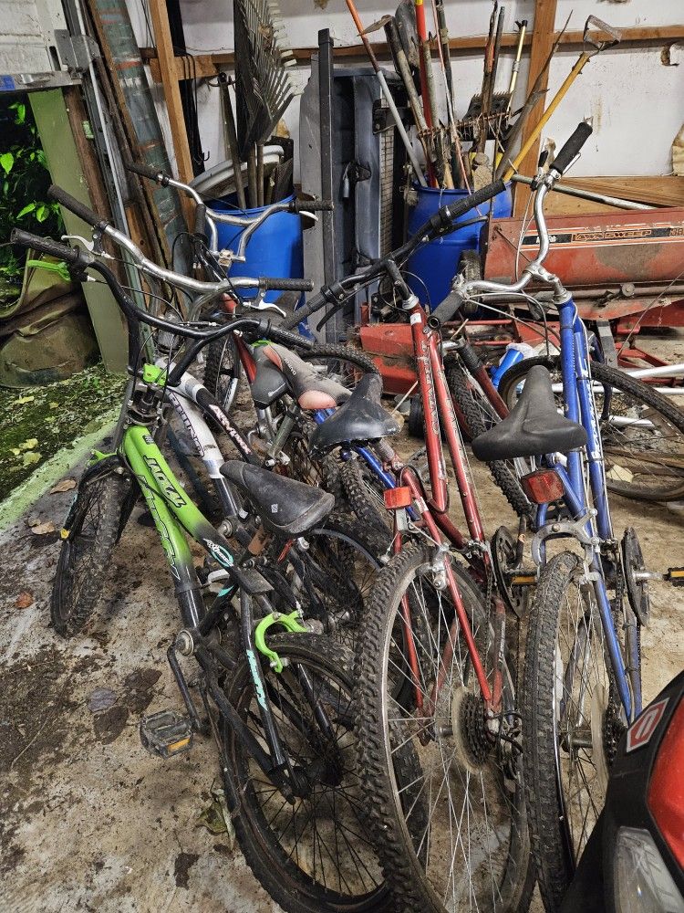 FREE bikes