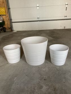 Plant Pots 
