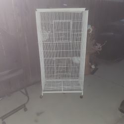 Bird Cage