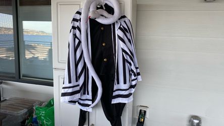 Anime Halloween costume Adult/teen $40