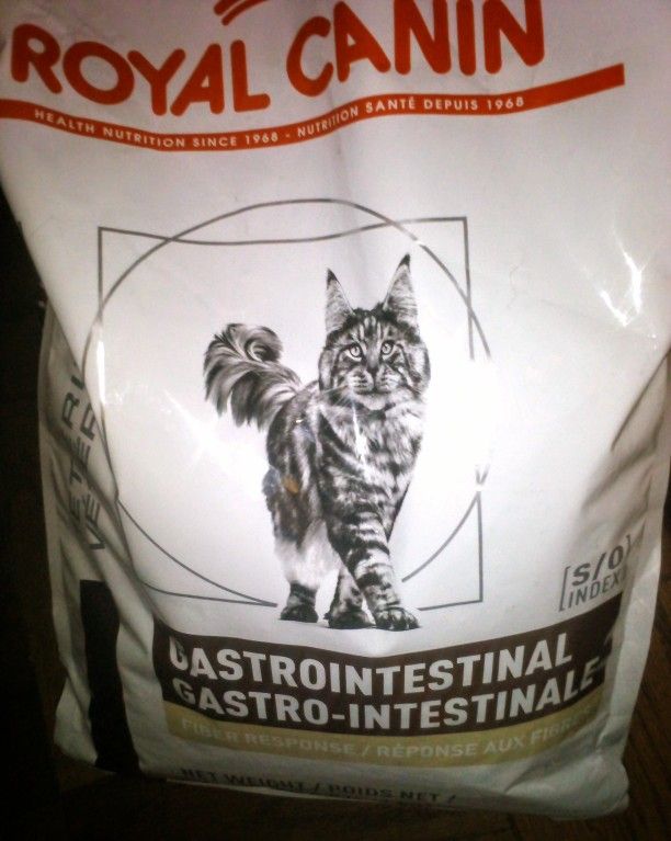 Royal Canine Gastrointestinal Cat Food