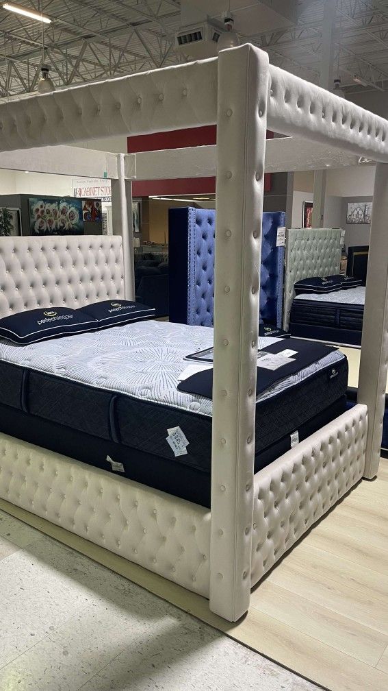 OM• $38 Initial • Brand New//Canopy Bed